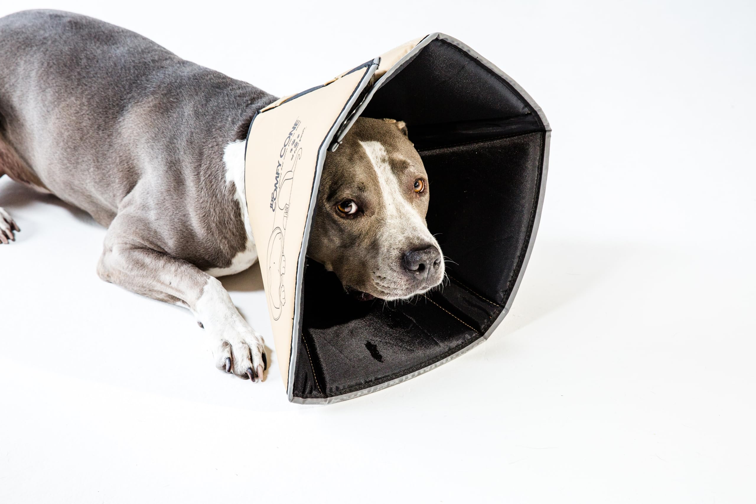 All Four Paws Comfy Cone banda reflectiva para mayor visibilidad