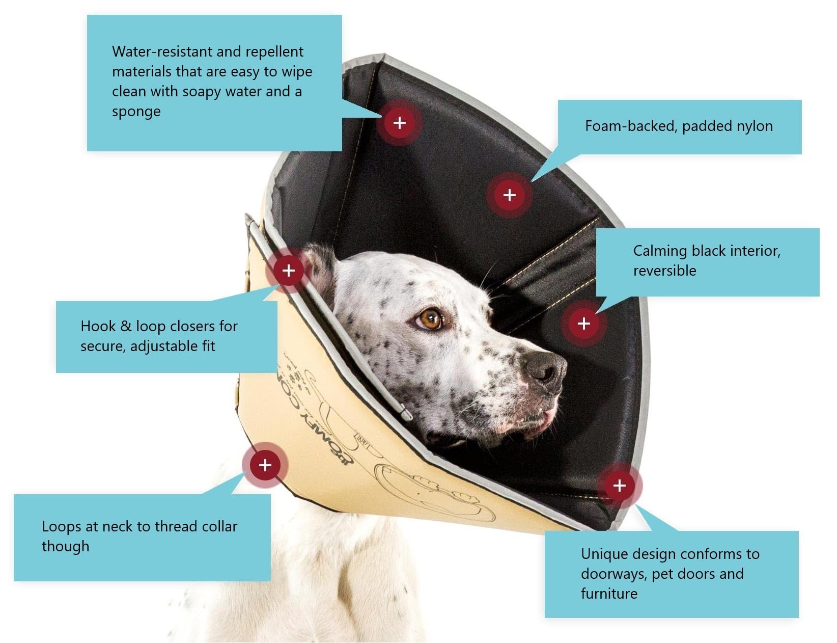 All Four Paws Comfy Cone borde reflectante para mayor visibilidad nocturna.