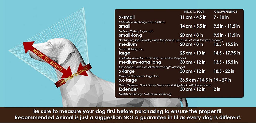 All Four Paws Comfy Cone borde reflectivo mejora visibilidad durante paseos en casa
