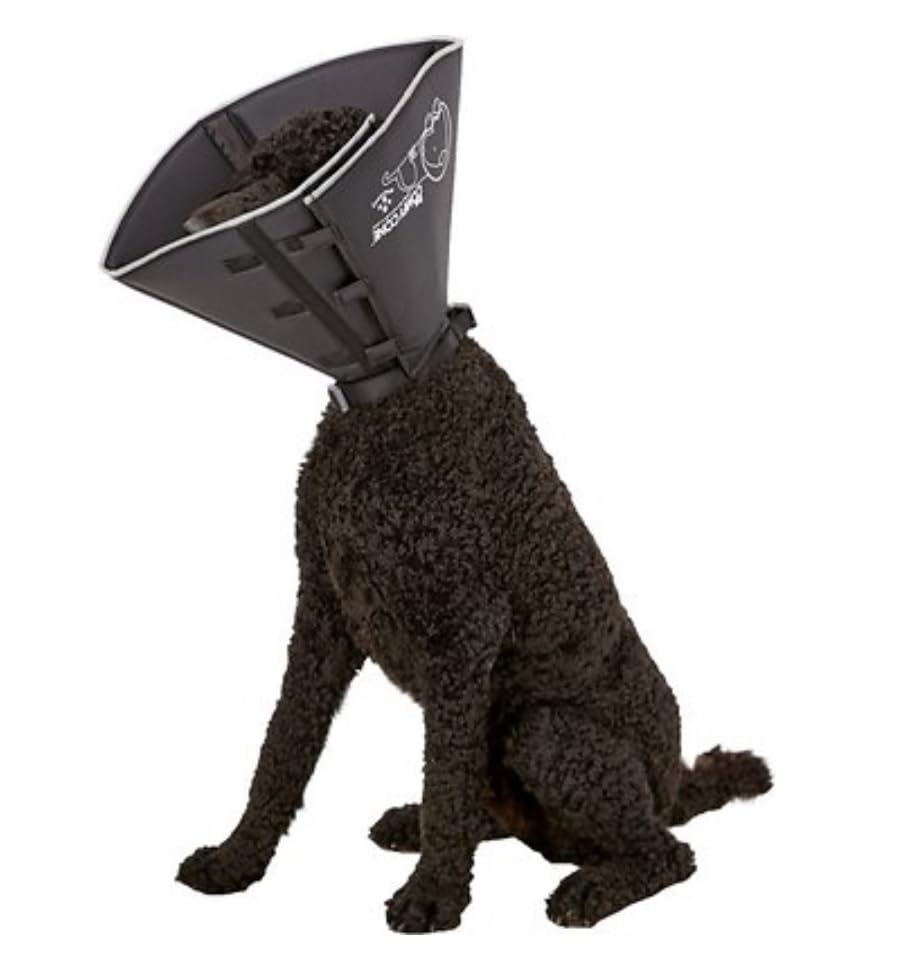All Four Paws Comfy Cone plegable para comer y beber sin quitar el cono.