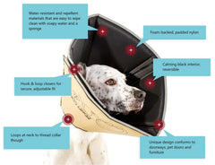 All Four Paws Comfy Cone XXL negro, ajuste-velcro, colocación rápida y segura
