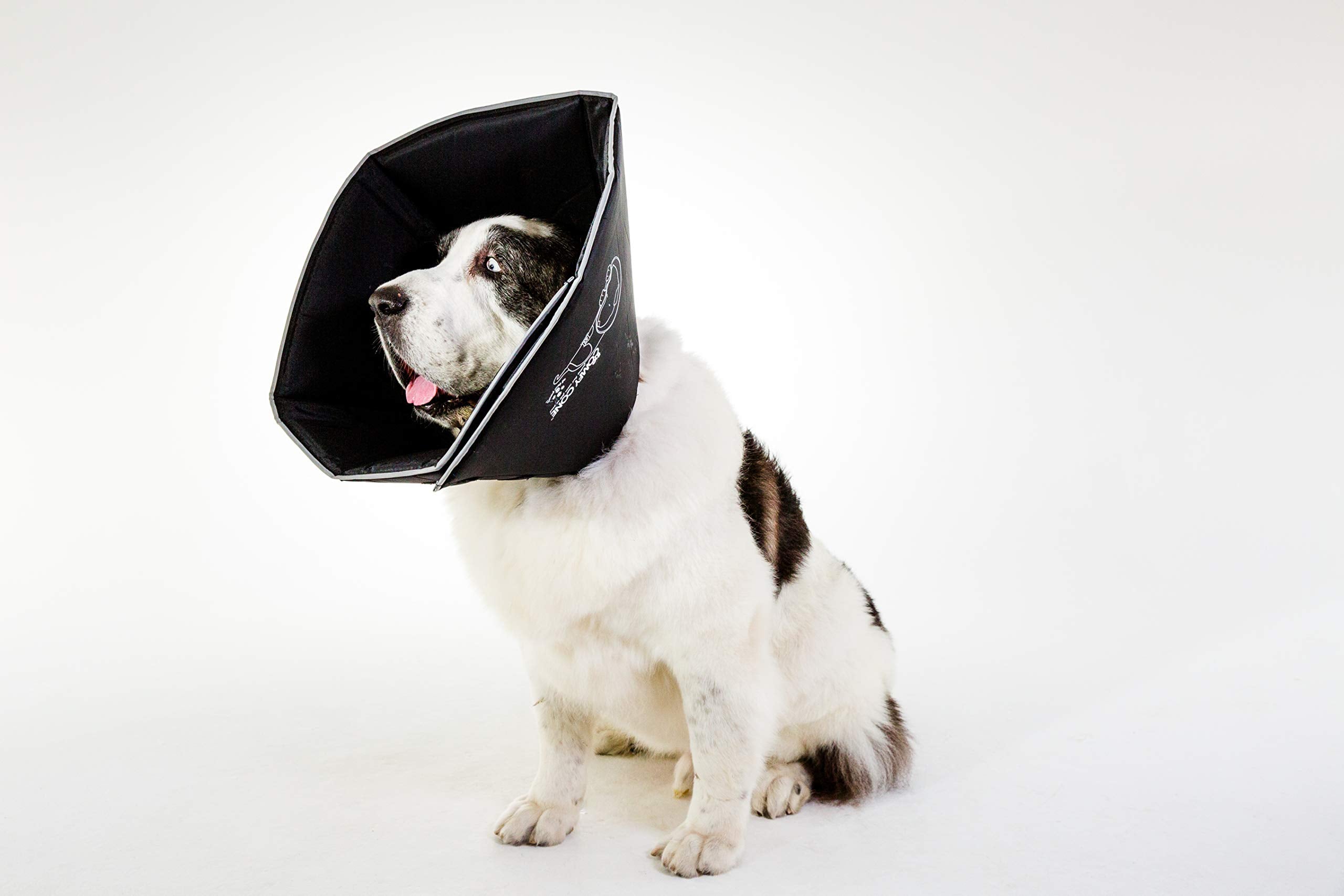 All Four Paws Comfy Cone XXL negro, borde reflectante para visibilidad nocturna