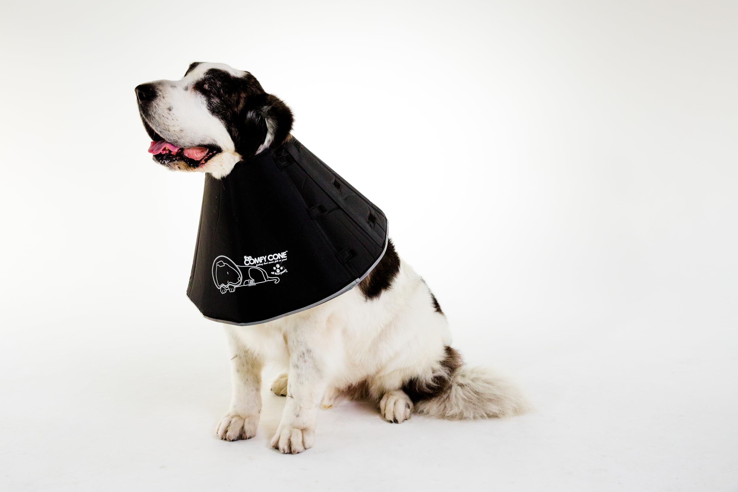 All Four Paws Comfy Cone XXL negro, tiempo de juego cómodo al comer y beber