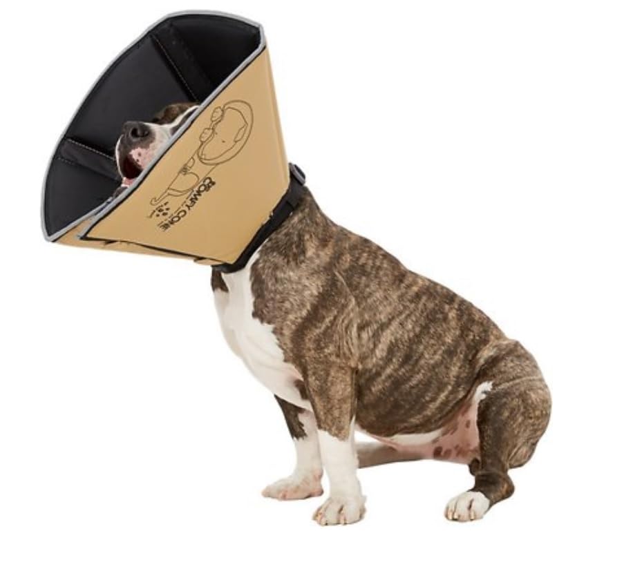 All Four Paws Cono Comfy material impermeable y fácil de limpiar.
