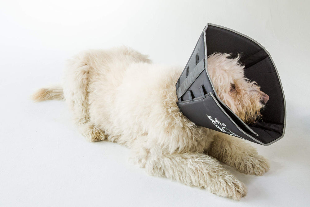 Cono All Four Paws Comfy Cone con refuerzos plásticos removibles para estructura adicional.