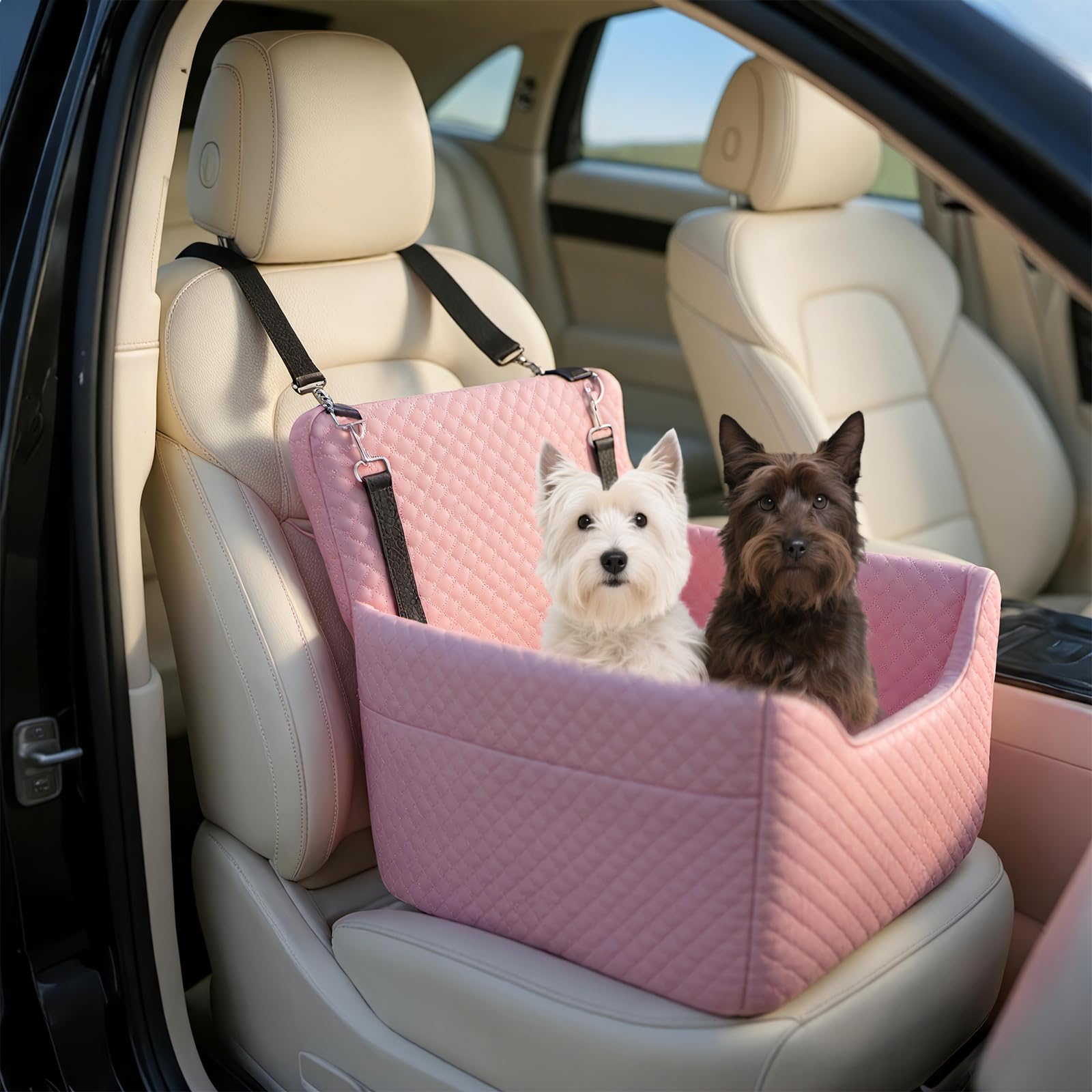 Uso versátil ALL GOOD PET SUPPLIES, sirve como cama portátil para viajar
