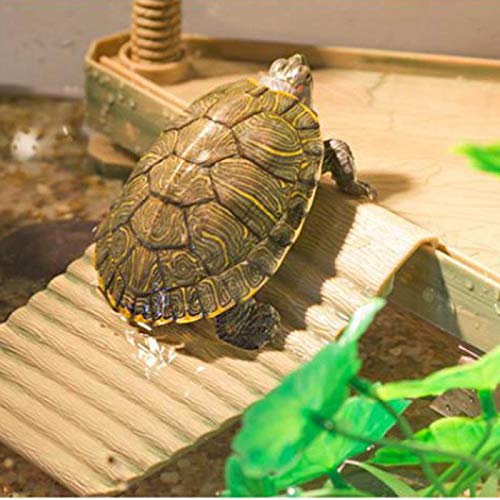Allpdesky pilares sujecion-tanque tortuga mantienen estable la plataforma