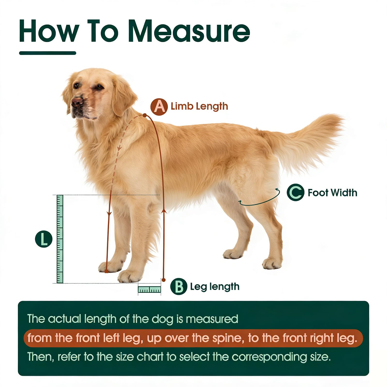 Allroaring Botas para Perro ofrecen tracción en superficies mojadas para caminar con confianza.
