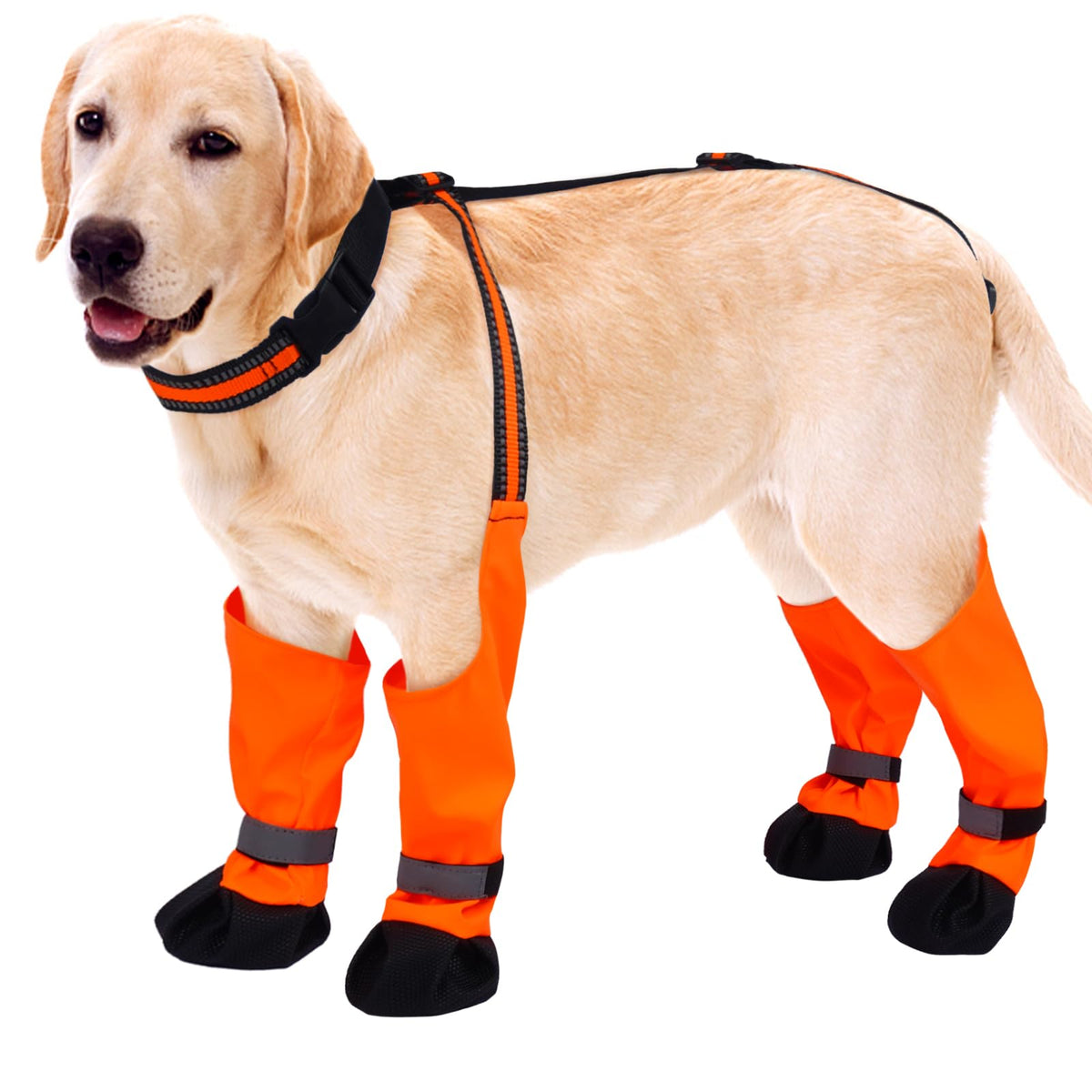 Allroaring Botas con Suspensoras para Perro protegen las patas secas en lluvia y barro.