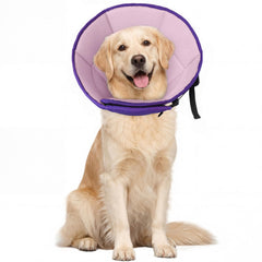 Allroaring collar cono para perro grande con ajuste seguro.