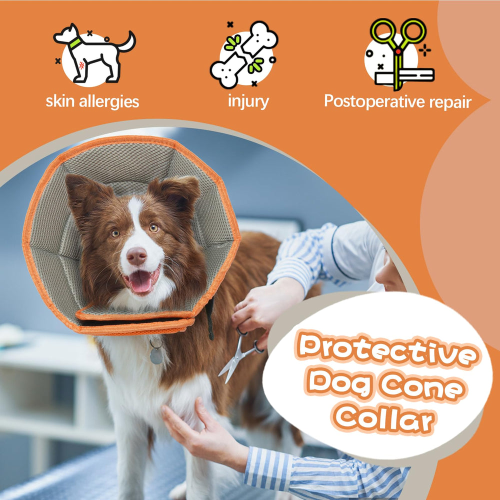 Allroaring cono perros fácil para comer: permite acceso a comida sin molestias.