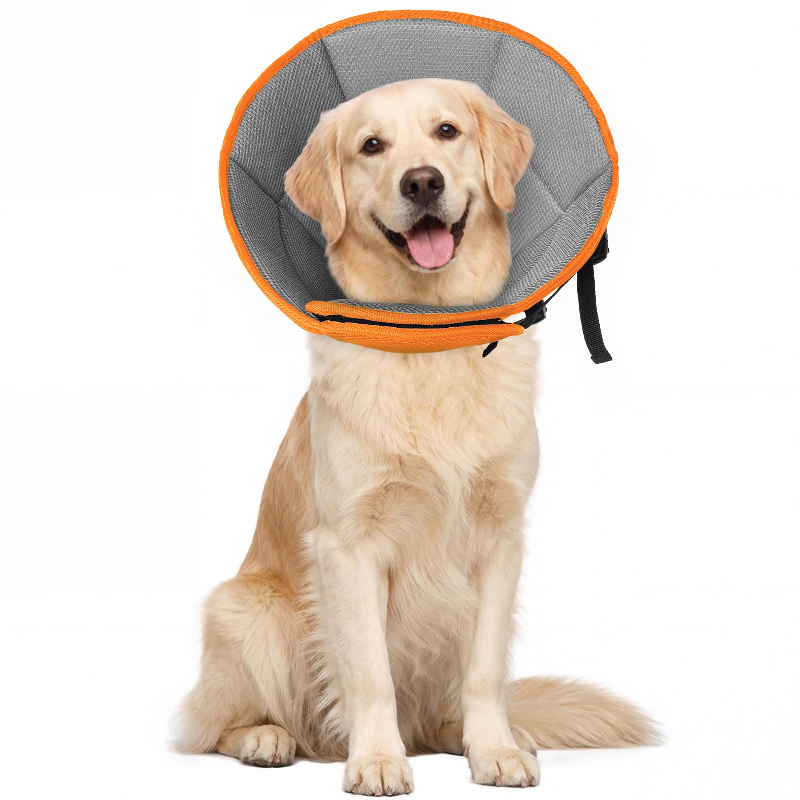 Allroaring cono perros grande: protección postquirúrgica para evitar lamidos.