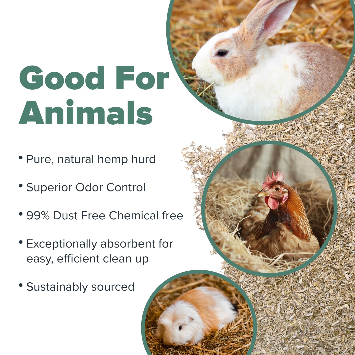 All Walks variedad especies cama animales, apta para roedores, aves y reptiles