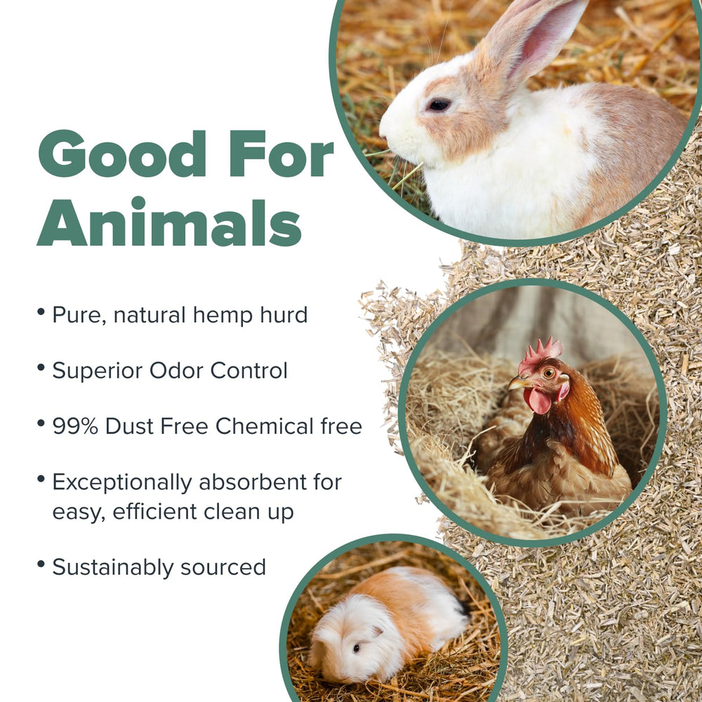 All Walks variedad especies cama animales, apta para roedores, aves y reptiles