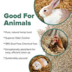 All Walks variedad especies cama animales, apta para roedores, aves y reptiles