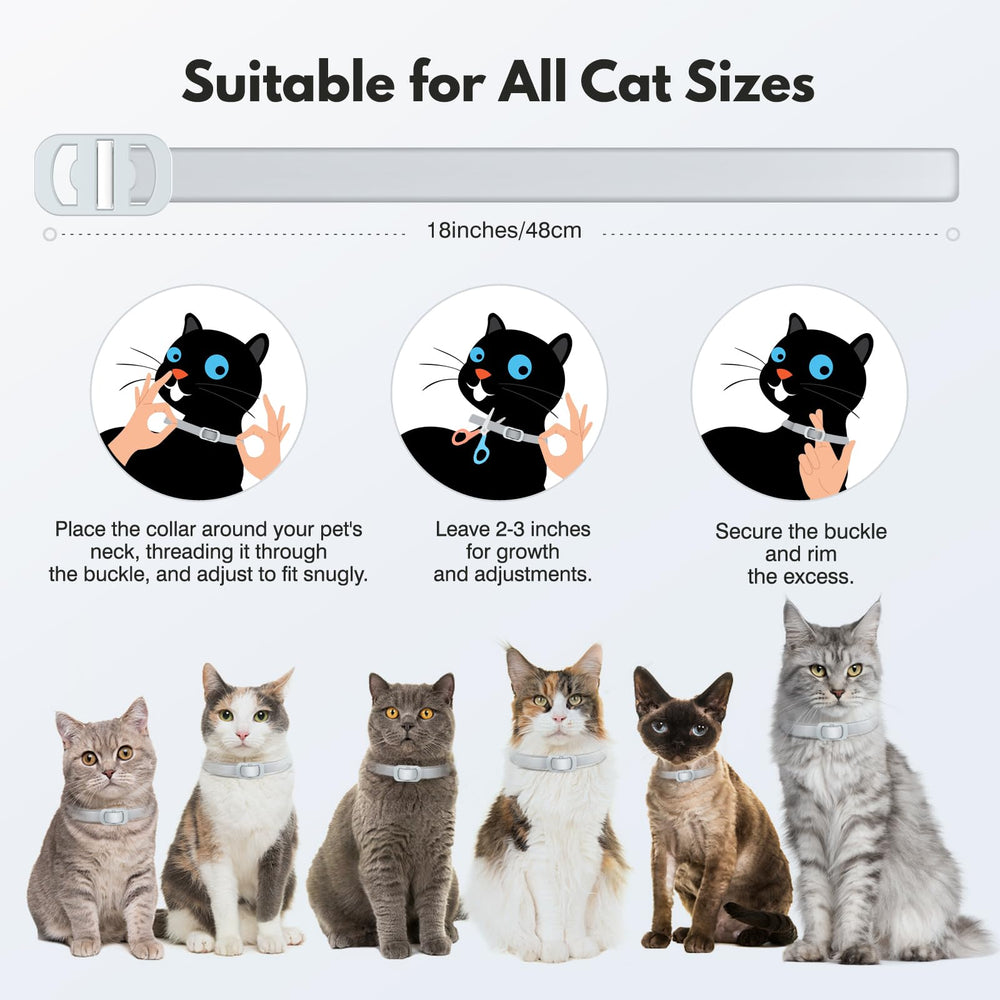 Ajuste versátil para gatitos y gatos adultos con Allyeah.