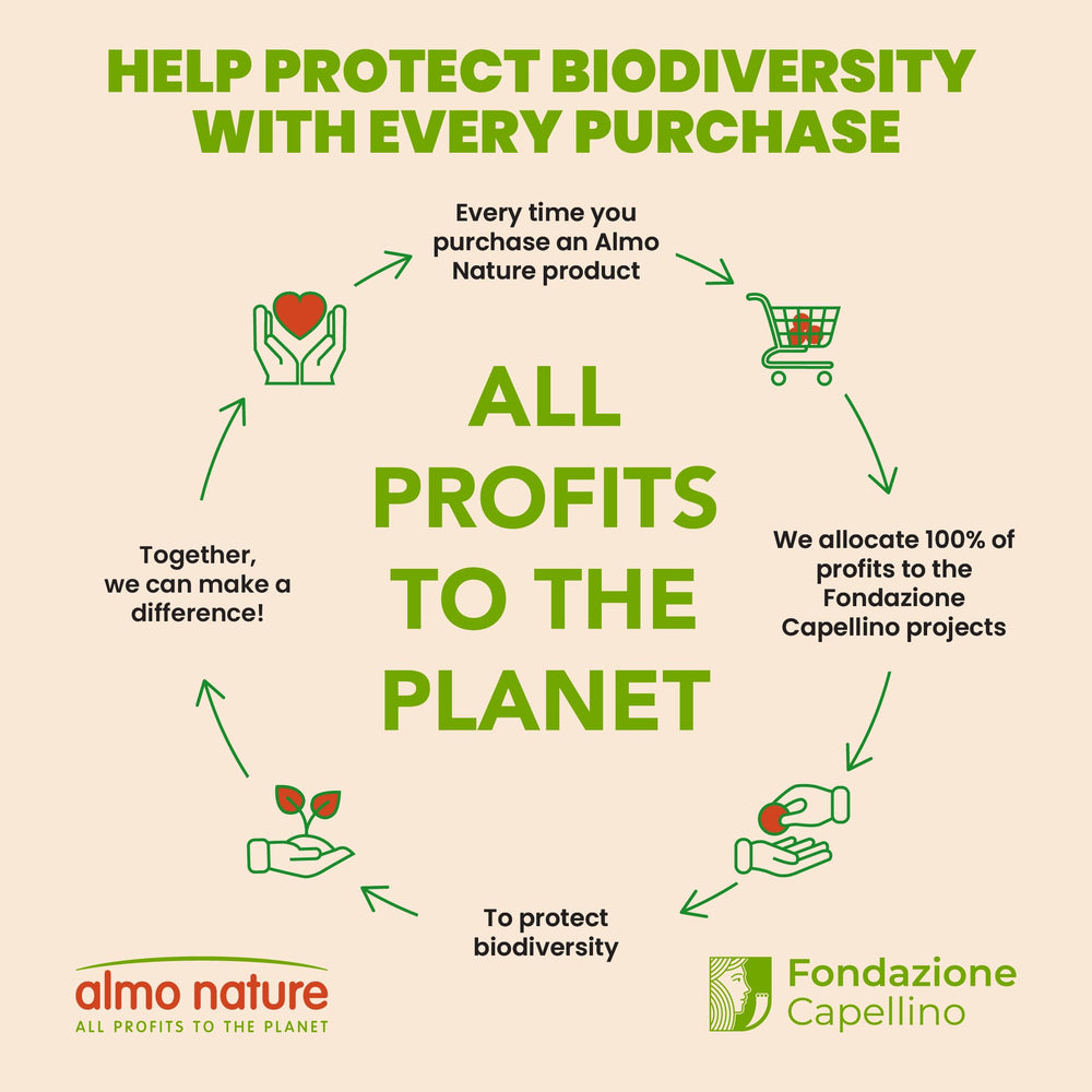 Almo Nature HQS Complete, gato disfruta de la comida húmeda en cada plato.