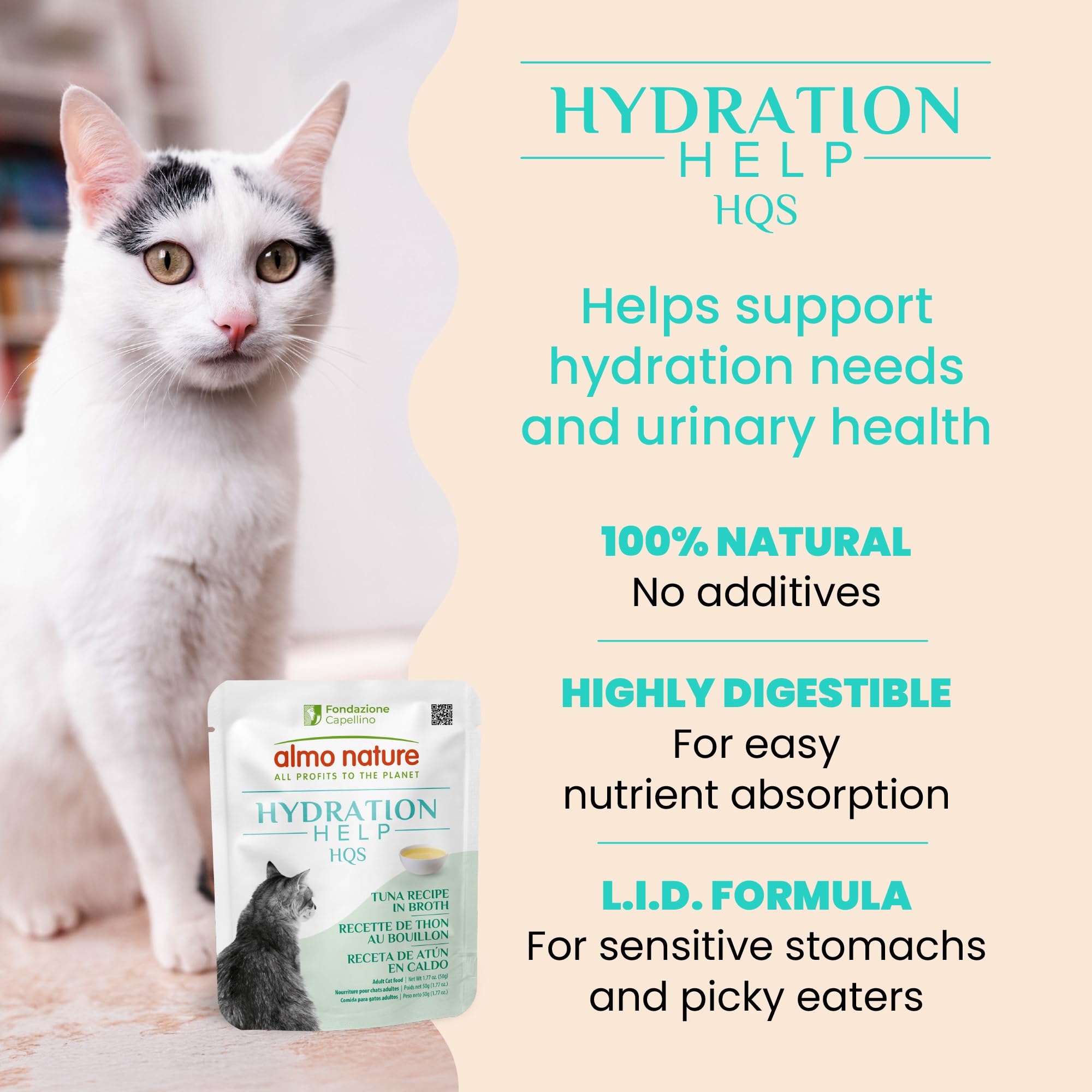 Almo Nature HQS gato disfrutando la comida húmeda, sabor agradable y fácil de digerir.