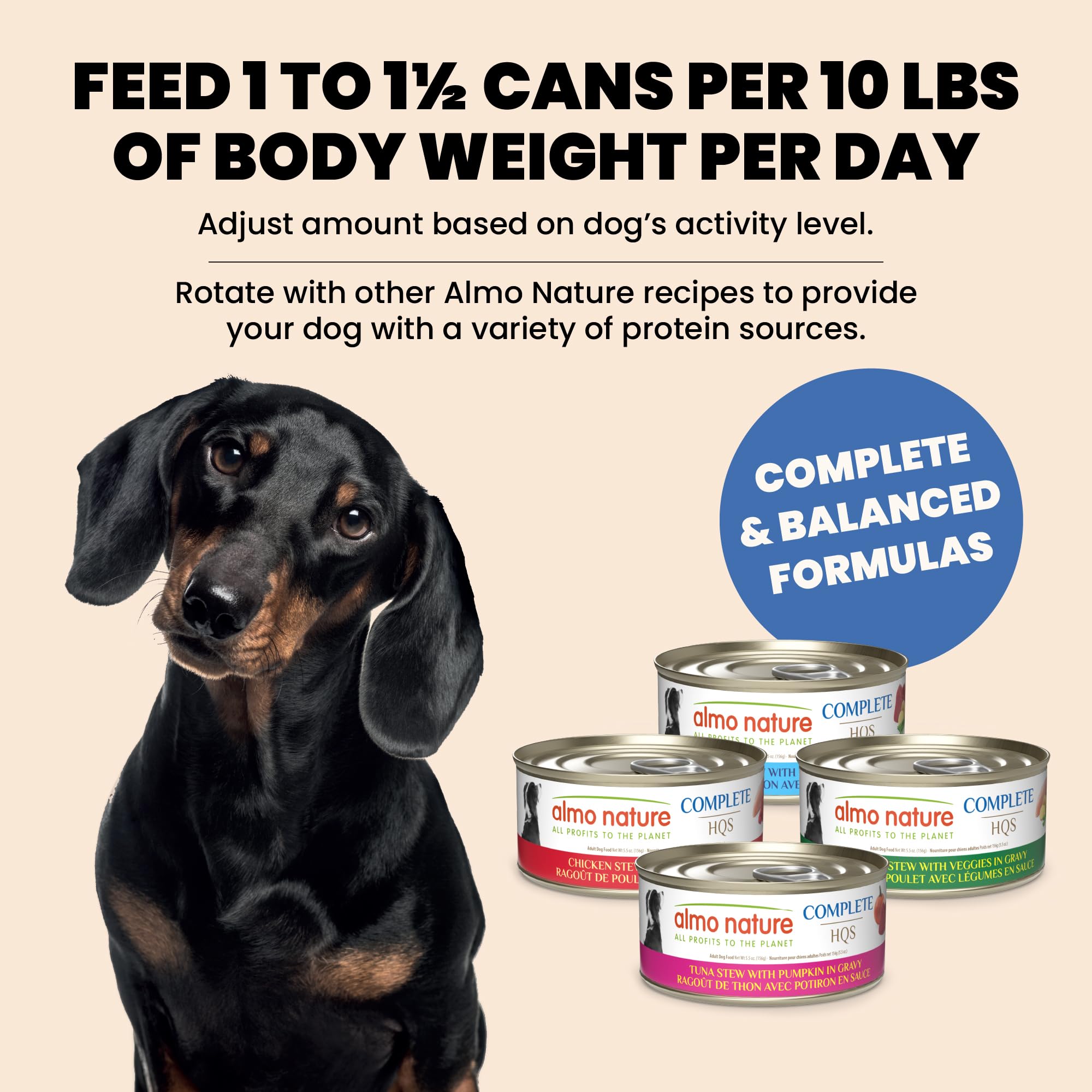 Almo Nature HQS pack de 12 para una rutina de alimentación estable.