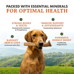 Empaque estadounidense de Alpha Dog Nutrition para control de calidad.