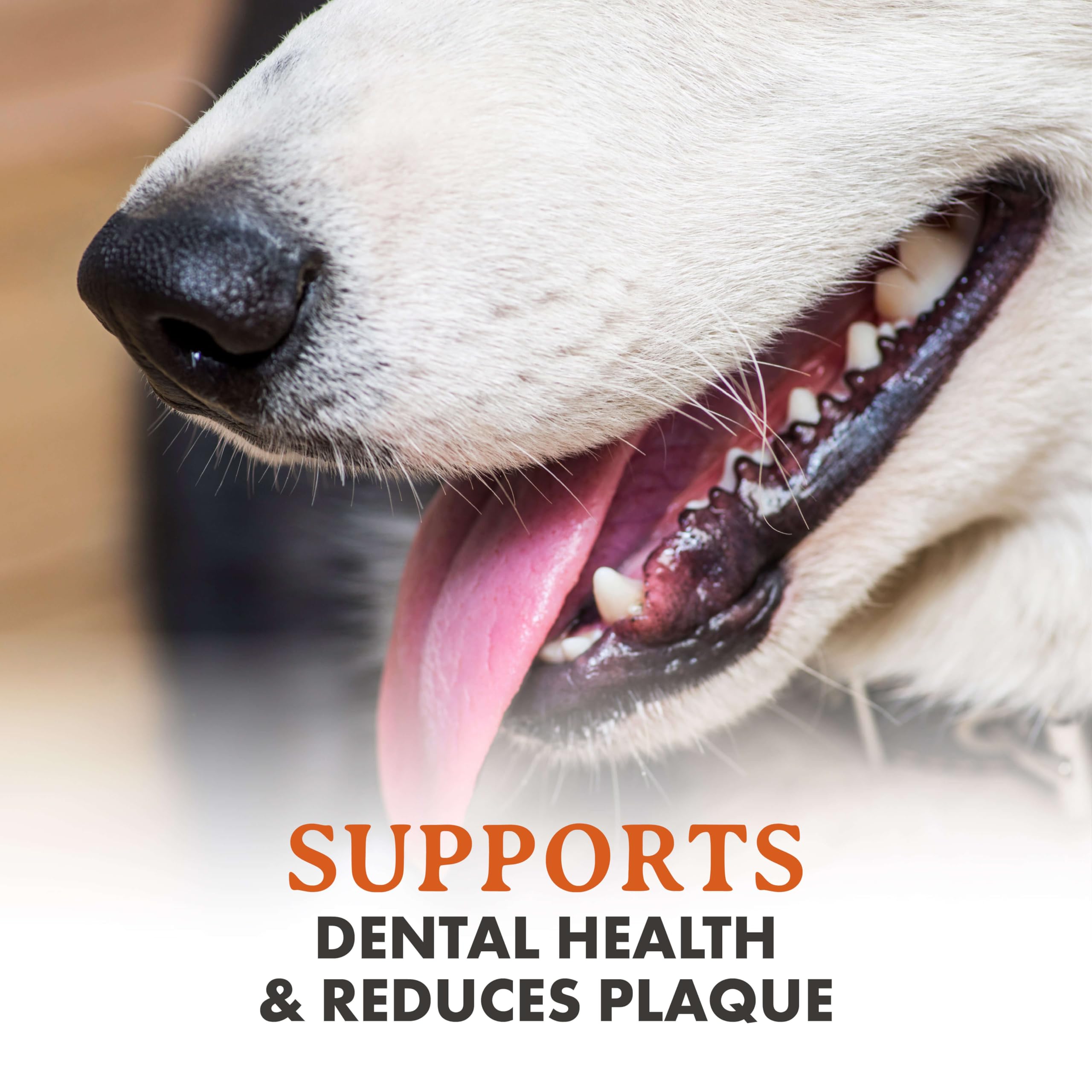 Mordedor natural de Alpha Dog Nutrition para perros que buscan una experiencia larga.