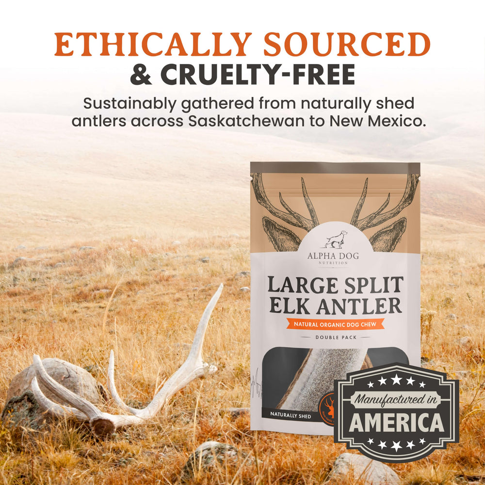 Tamaño grande de Alpha Dog Nutrition para perros grandes con masticación segura.