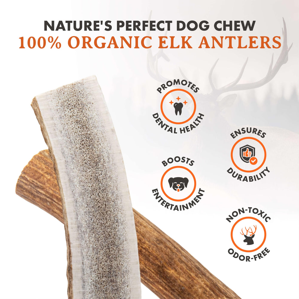 Textura natural de la asta de ciervo Alpha Dog Nutrition para masticación prolongada.