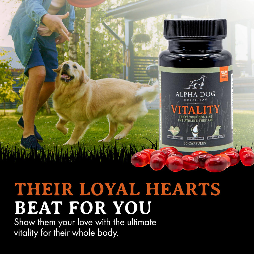 Dosis diaria fácil de Alpha Dog Nutrition aceite de krill para perros.