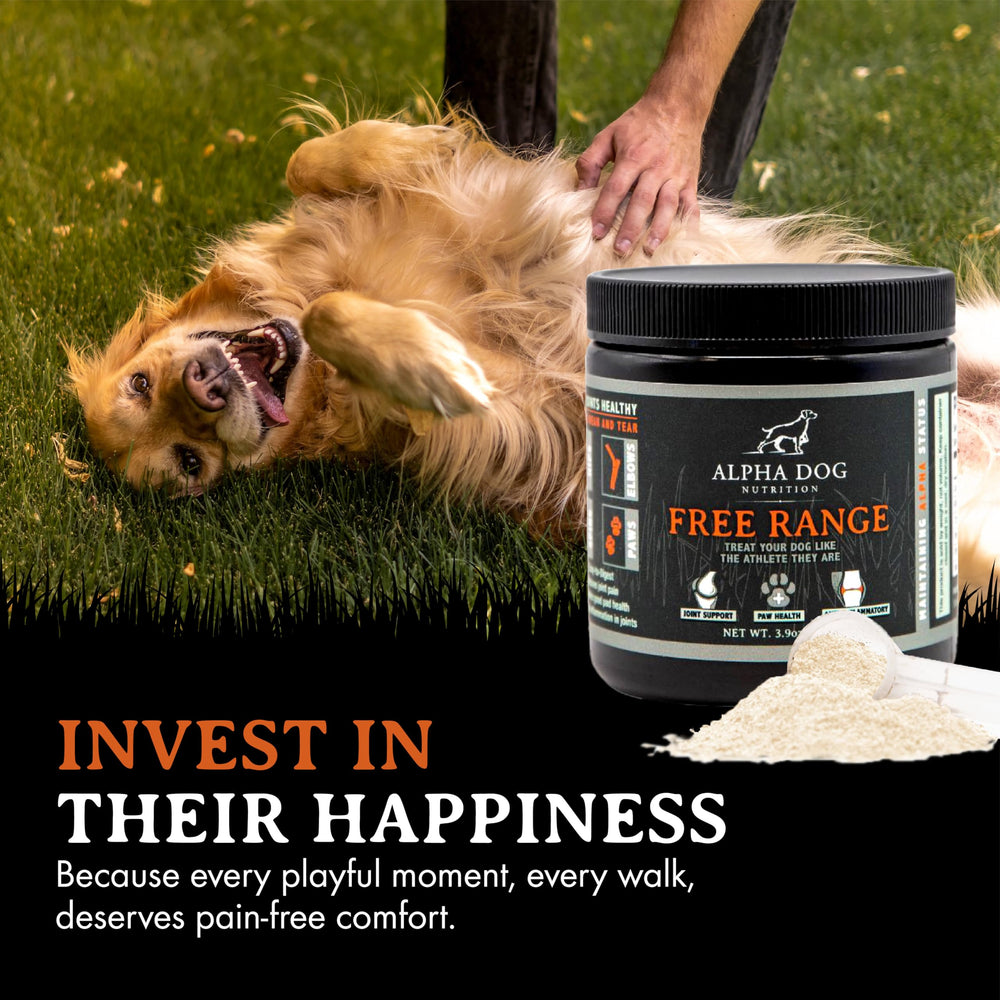 Alpha Dog Nutrition ingredientes clave que respaldan la salud articular.