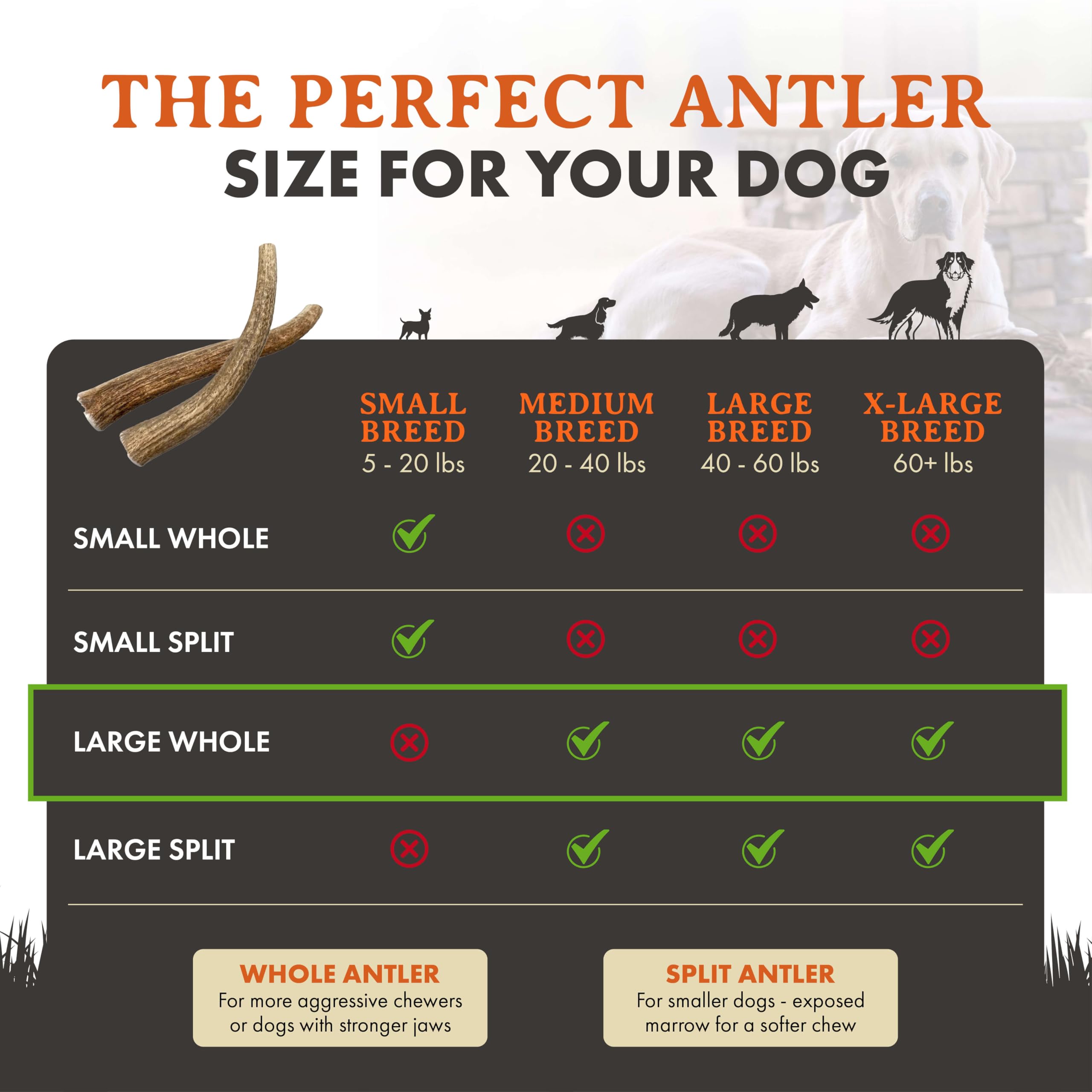 Alpha Dog Nutrition origen natural para perros de todas las razas