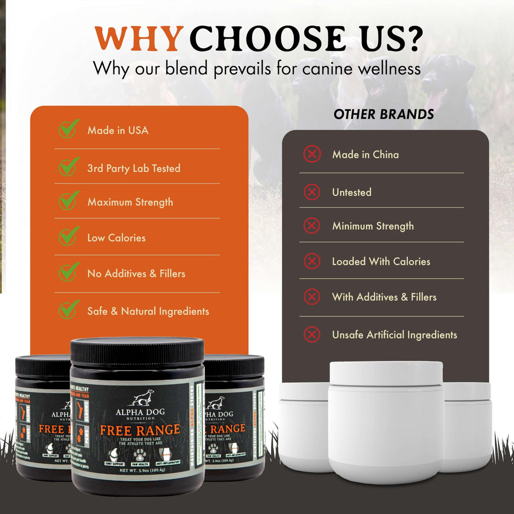 Alpha Dog Nutrition perro activo gracias al cuidado articular diario.