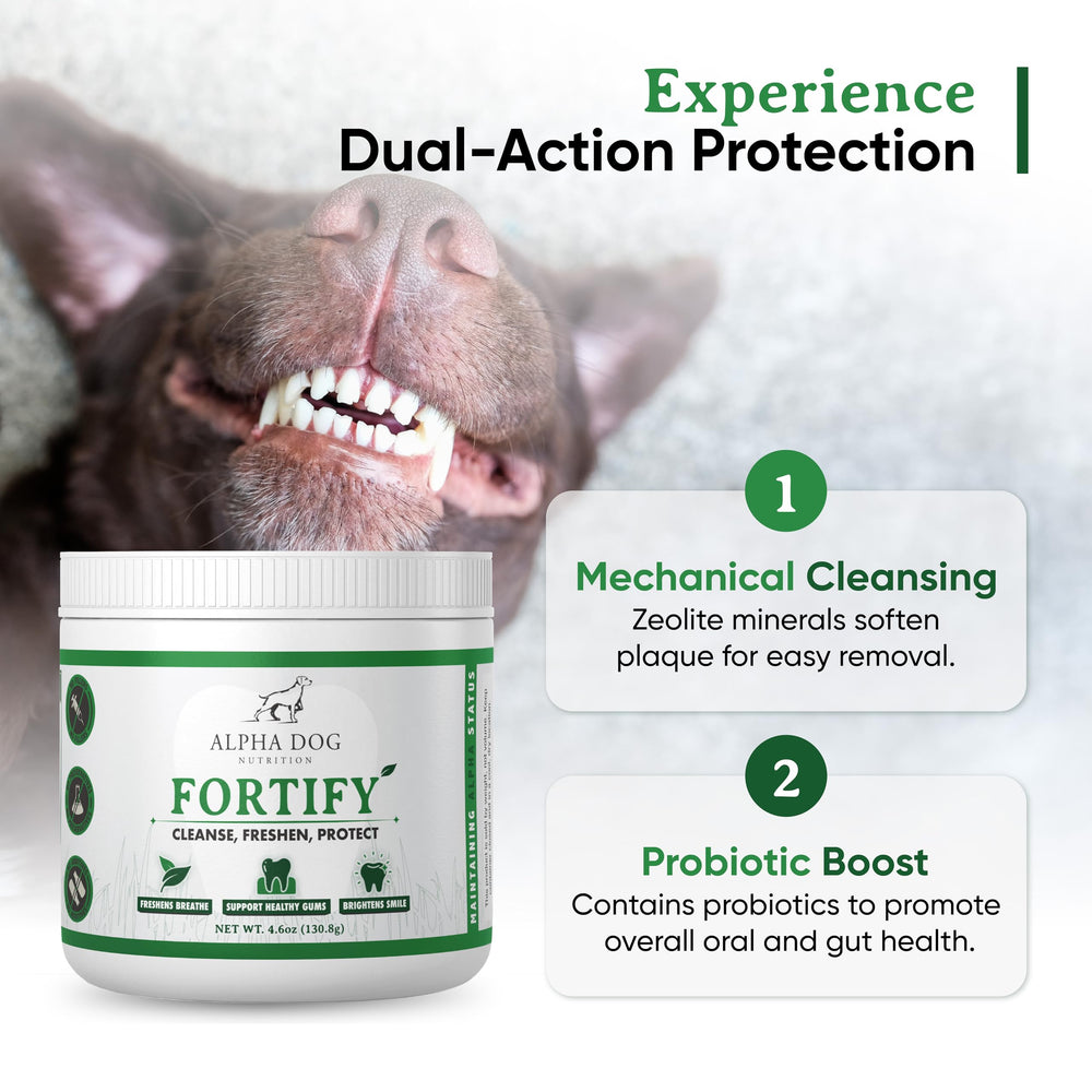 Alpha Dog Nutrition Polvo dental para perros, aplicación rápida sobre la comida.