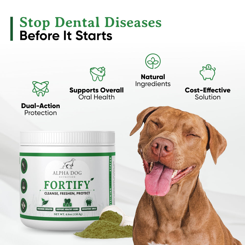Polvo dental para perros, textura visible, facilita espolvorear sobre la comida.