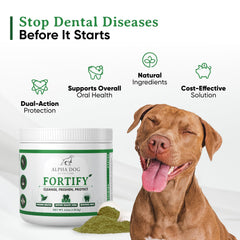 Polvo dental para perros, textura visible, facilita espolvorear sobre la comida.