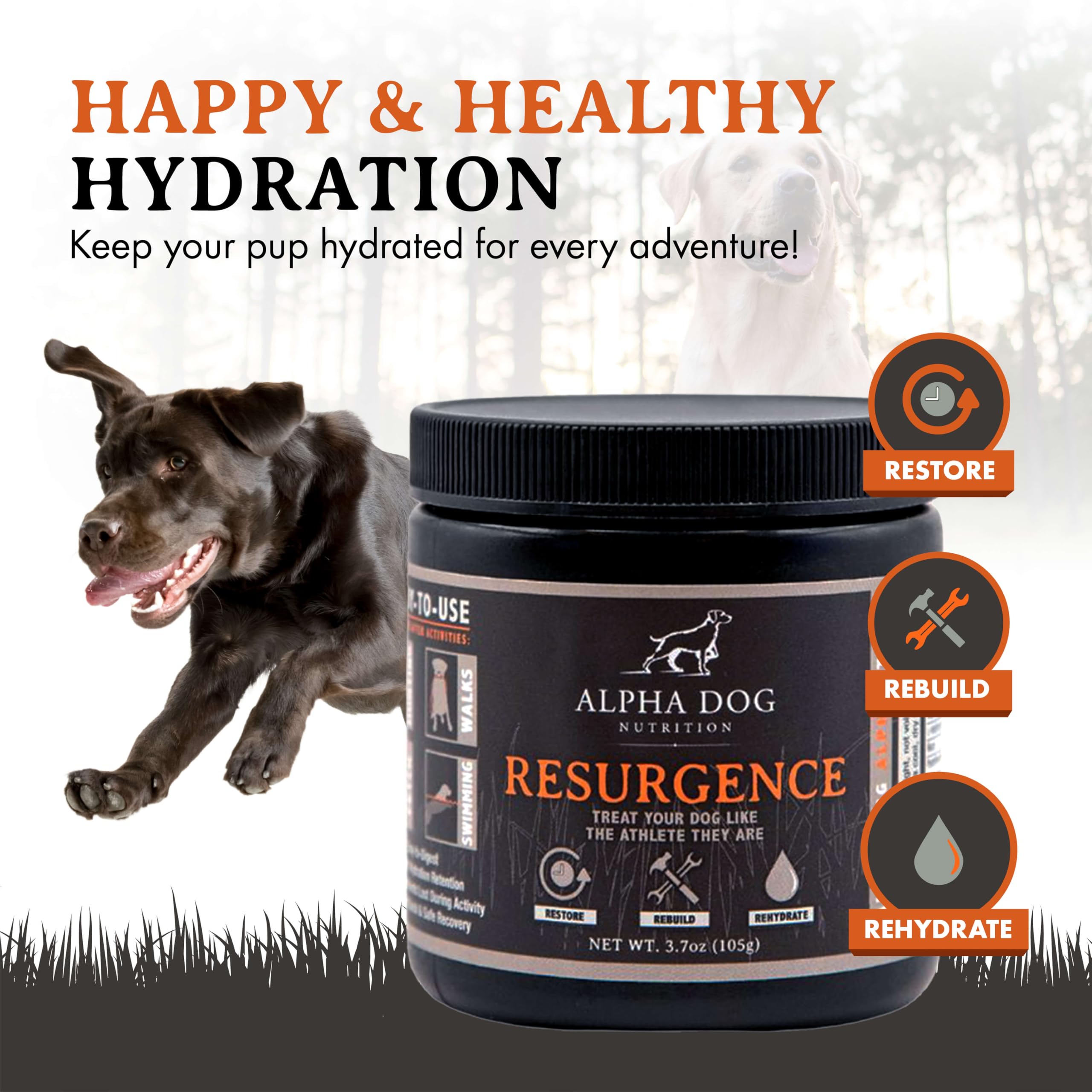Alpha Dog Nutrition Resurgence: mezcla fácil en agua para rehidratar perros.
