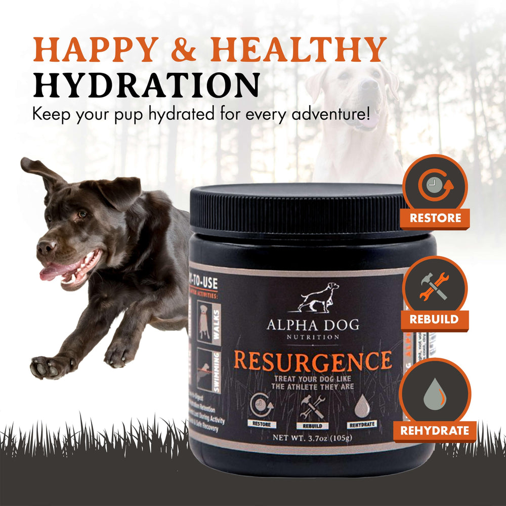 Alpha Dog Nutrition Resurgence: mezcla fácil en agua para rehidratar perros.