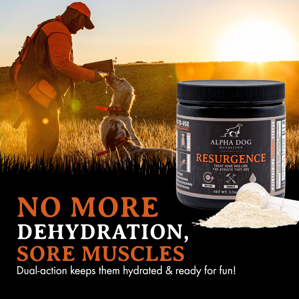 Alpha Dog Nutrition Resurgence: presentación apilable y fácil de usar para dueños.
