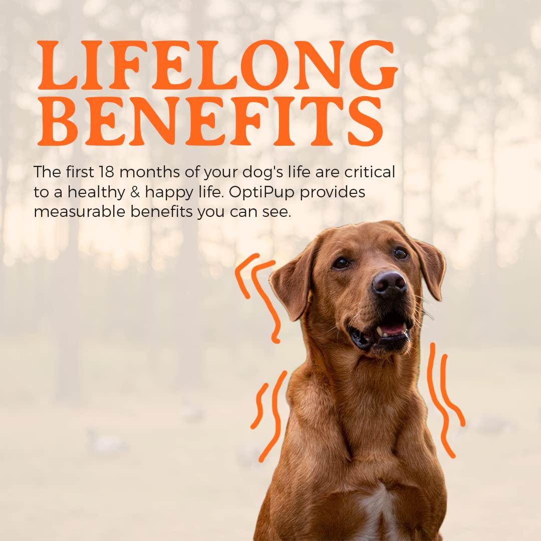 Alpha Dog OptiPup digestivo y salud intestinal: prebióticos y probióticos para una digestión suave.