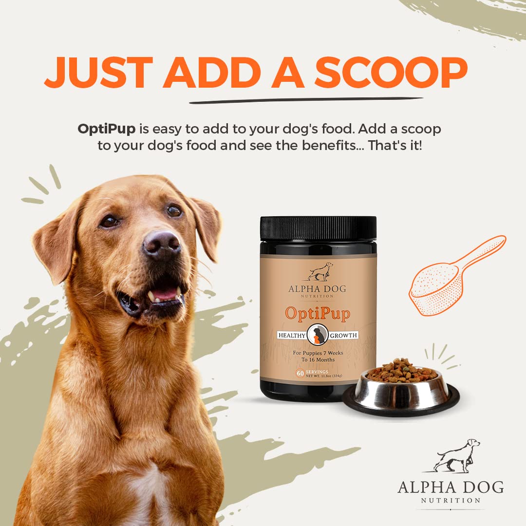 OptiPup, digestivo equilibrado y sistema inmunitario con prebióticos y probióticos para cachorros.