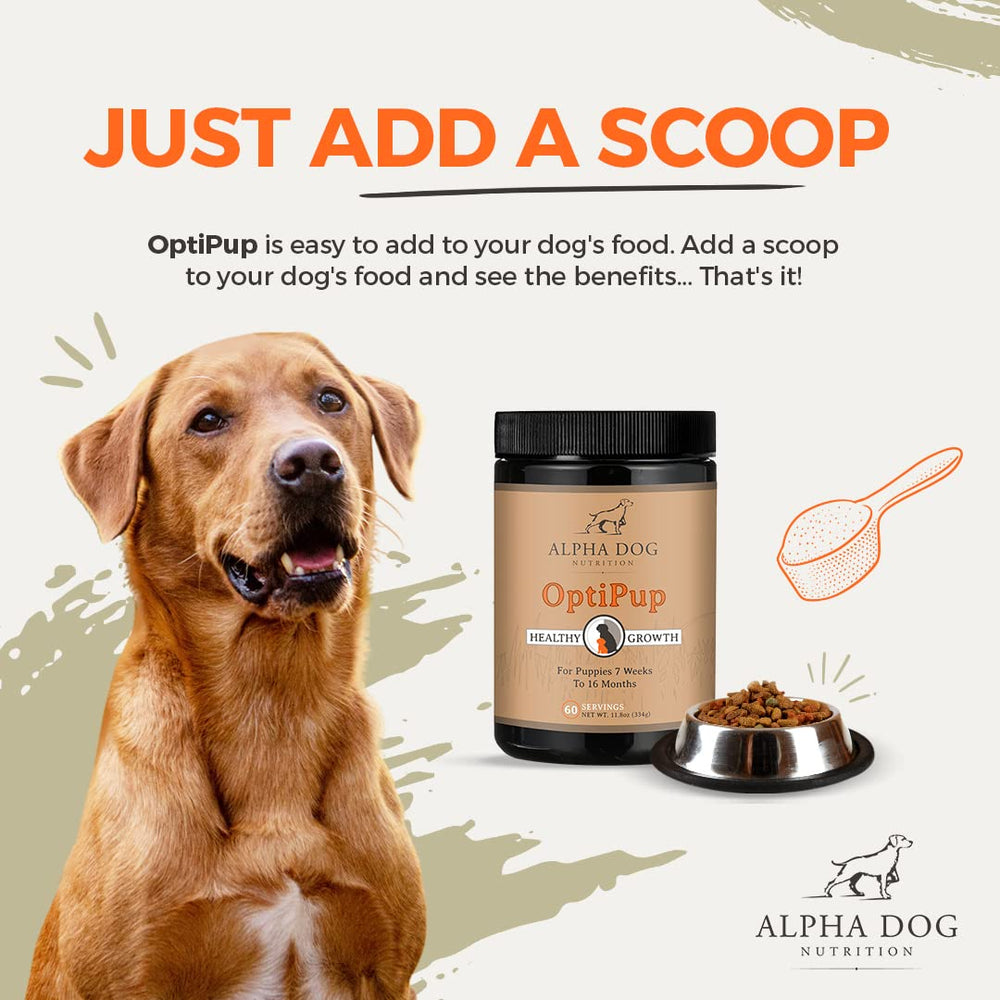 OptiPup, digestivo equilibrado y sistema inmunitario con prebióticos y probióticos para cachorros.