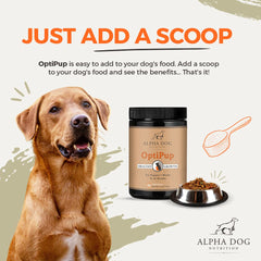 OptiPup, digestivo equilibrado y sistema inmunitario con prebióticos y probióticos para cachorros.