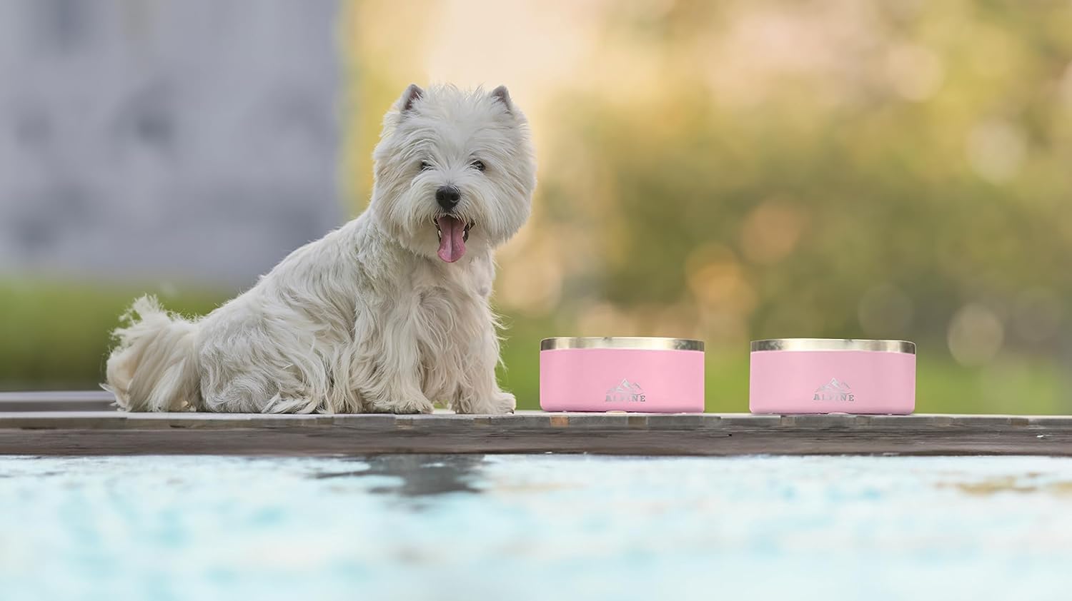 ALPINE tazones adecuados para interiores y exteriores para mascotas