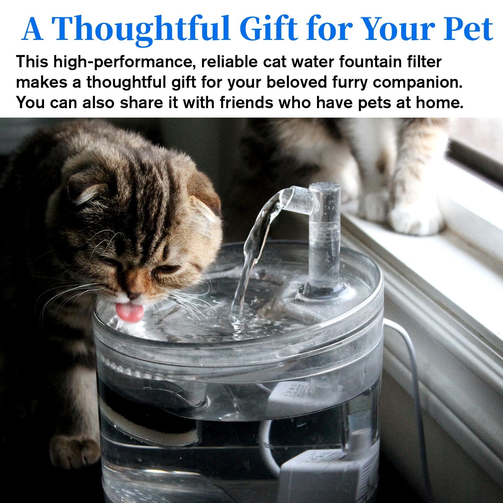 Filtro de repuesto para fuente felina, ideal para hogares con varios gatos.