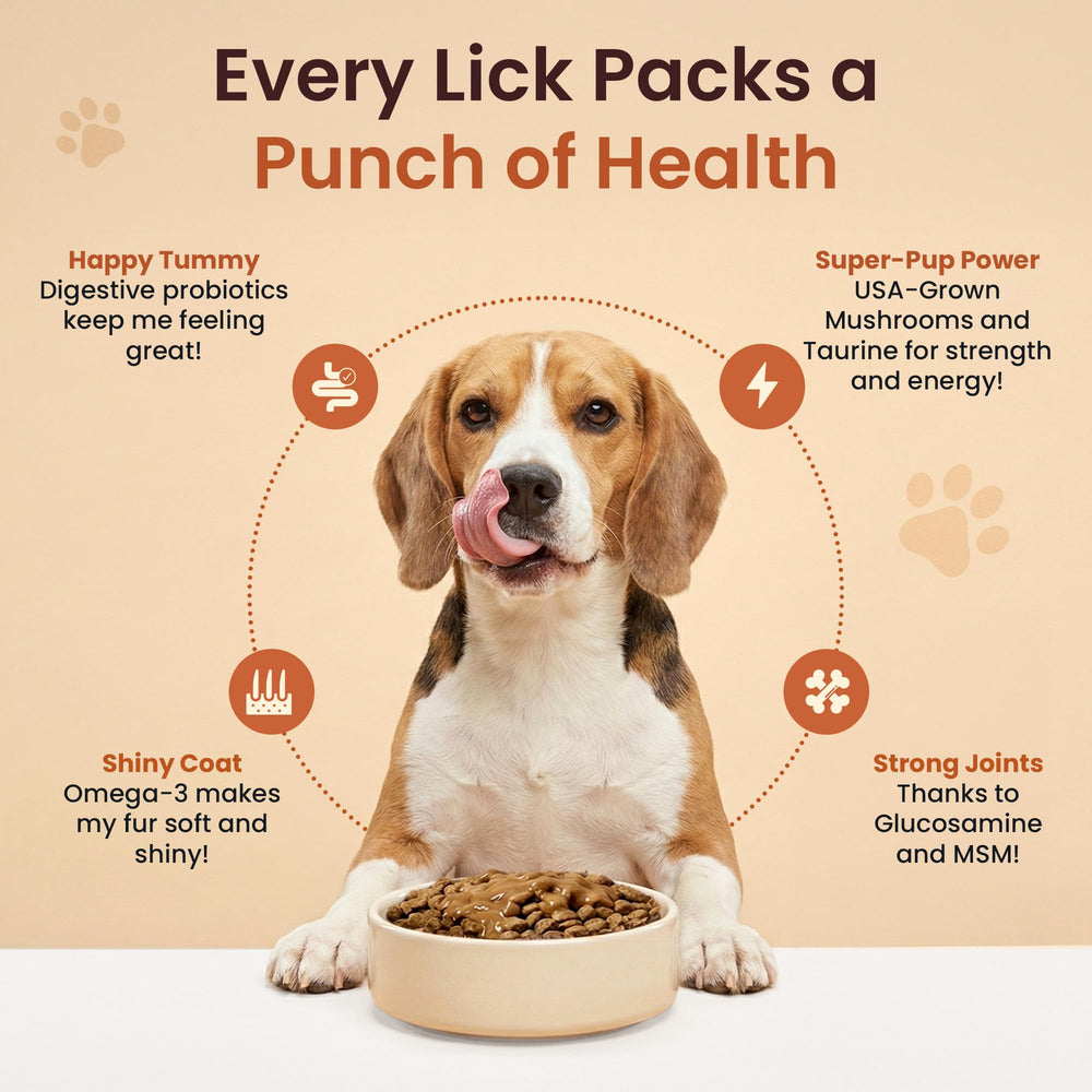 Altira salsa para perros, apoyo-articulaciones, contiene glucosamina para movilidad.