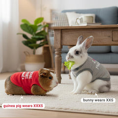 ALUZAEMO camiseta para chinchilla 2-pack: opción ligera para juego y descanso.