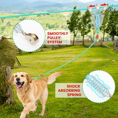 ALUZAEMO-resorte-absorbente-perro-jardin: amortigua impactos durante juego al aire libre.