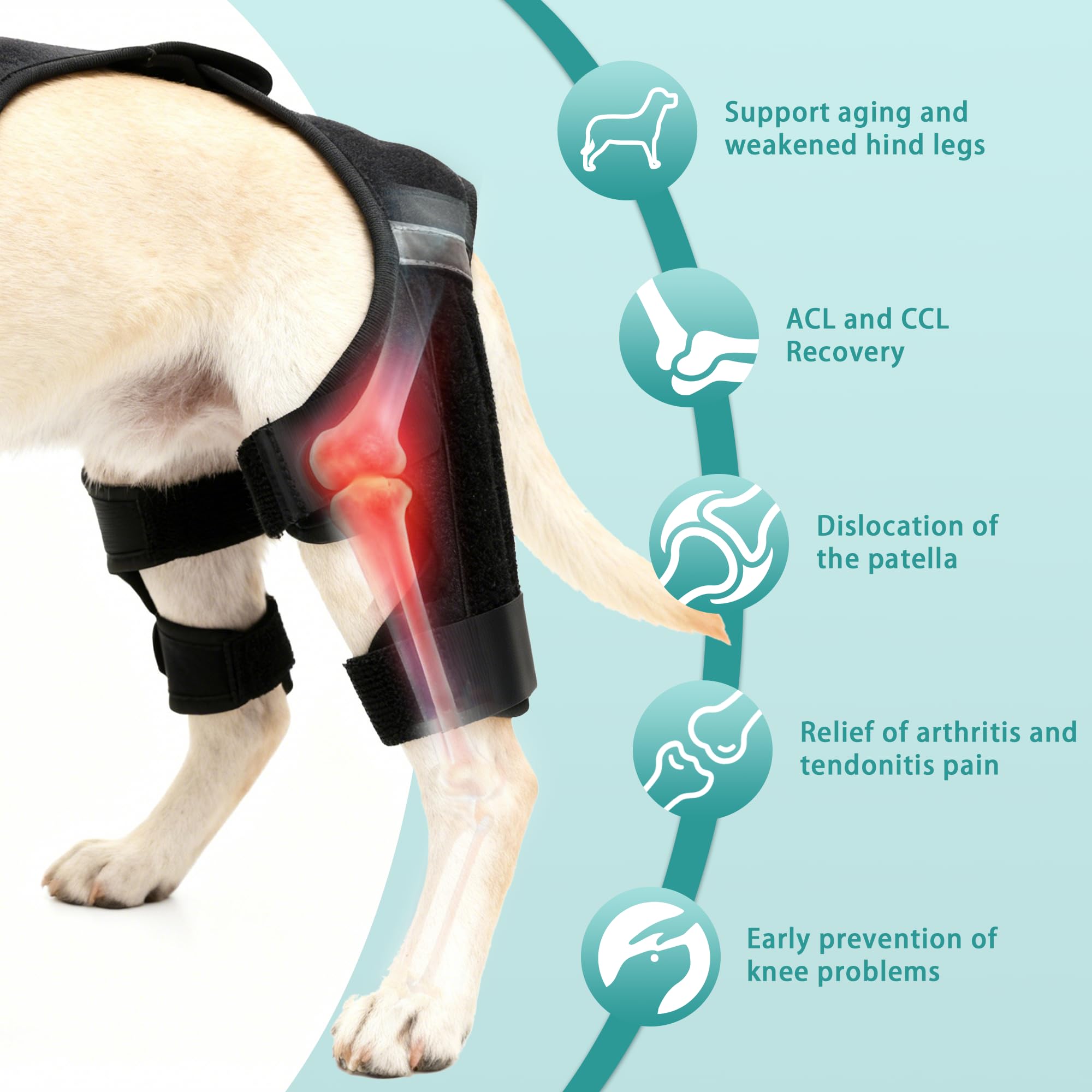 ALYBIT rodillera para perro con velcro: ajuste seguro y sin deslizamientos.