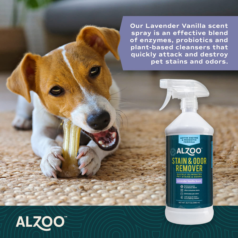 ALZOO Stain & Odor Remover, envase reciclable para un hogar sostenible.