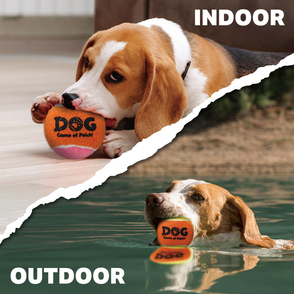 AMA SPORT juego interactivo y ejercicio fomenta actividad diaria del perro