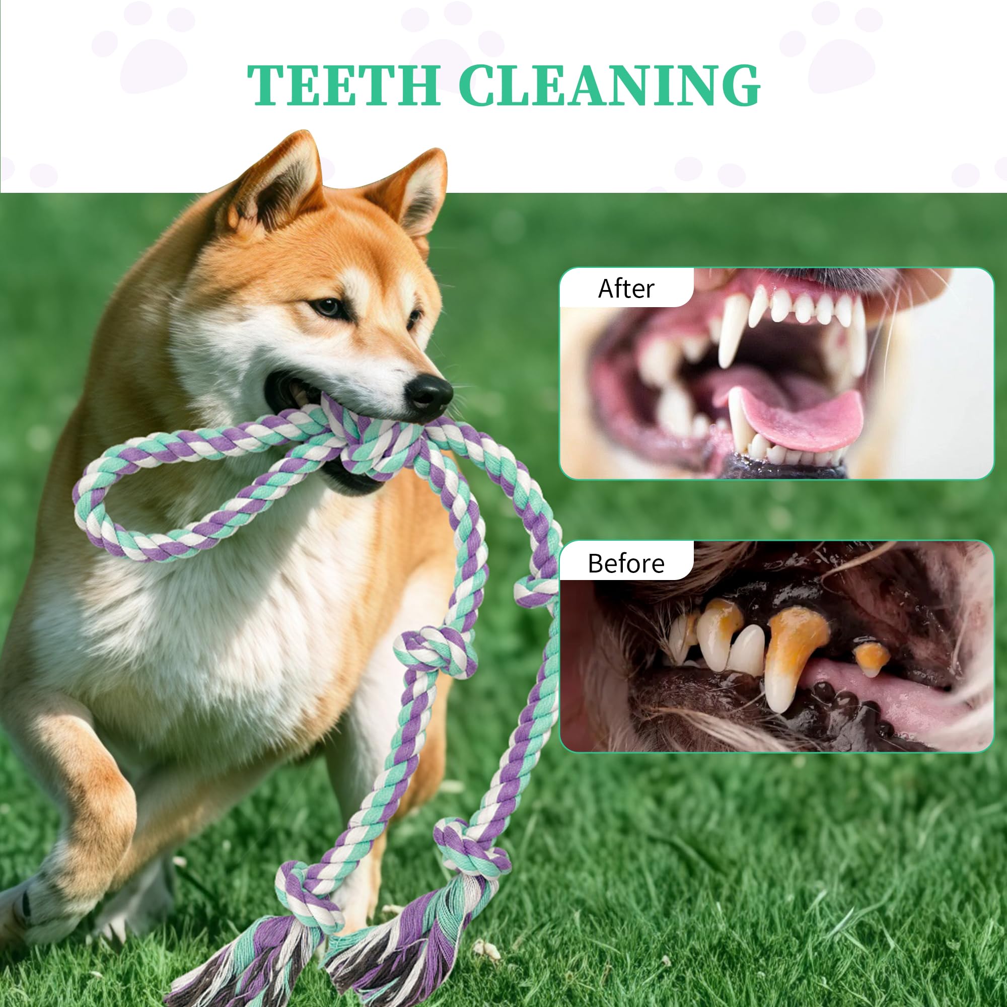 AmaCielo Regalo perfecto para perros activos y felices en casa.